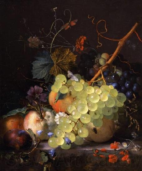 Jan van Huysum Still-life of grapes and a peach on a table-top France oil painting art